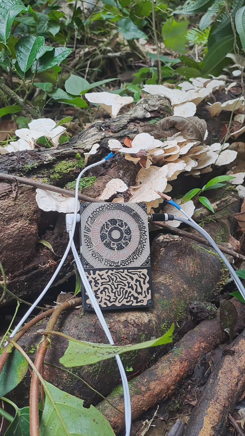Sintetizador Pocket SCÍON — Biofeedback y Sonido | Vibración Integral Estudio