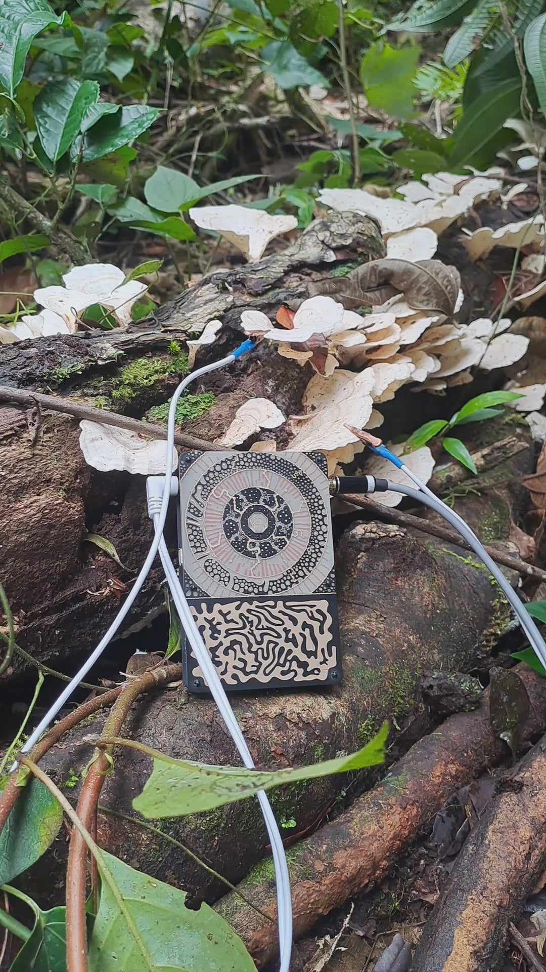 Sintetizador Pocket SCÍON — Biofeedback y Sonido | Vibración Integral Estudio